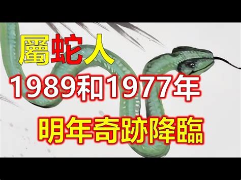 1989 五行|1989属蛇的五行是什么命